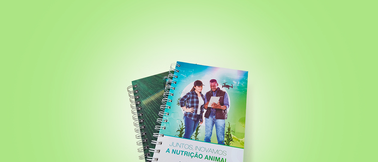 categoria_papelaria
